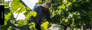 Managing Workplace Risks